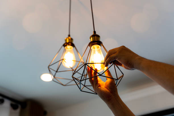Best Home Electrical Repair  in Smith Valley, NV
