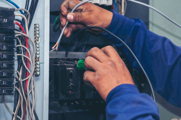 Best Licensed Electrician  in Smith Valley, NV