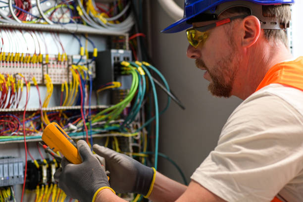 Best Electric Panel Repair  in Smith Valley, NV